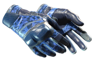 ★ Moto Gloves | Polygon (Field-Tested)